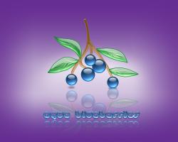 aqua blueberries 03